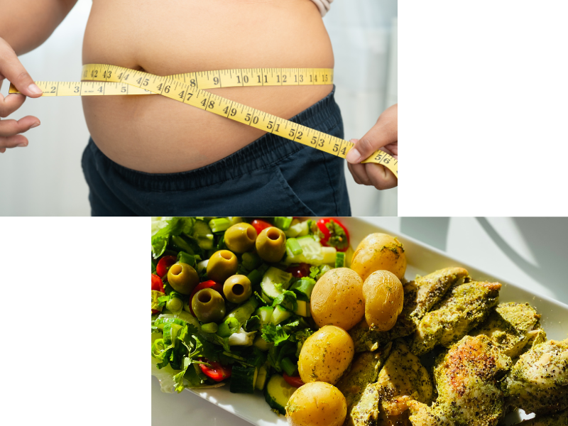 Fat Loss Program